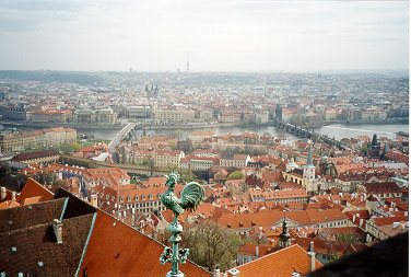 View from the Grad (do you see a Cock?)