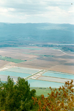 Hula Valley in Galilee from the hill